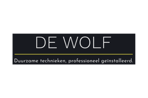 3 - Goud - De Wolf