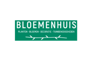 4 - Zilver - Bloemenhuis