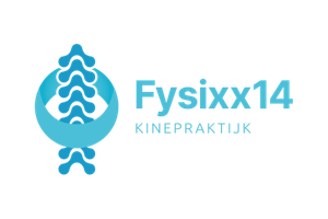 4 - Zilver - Fysixx14