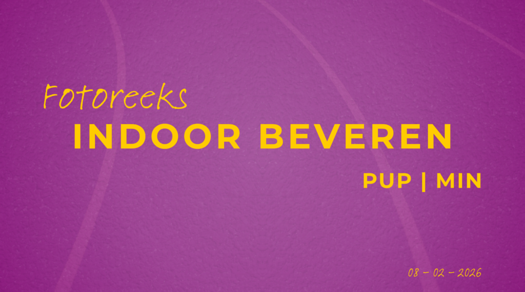 20260208-IndoorBeverenPUPMIN